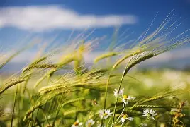 维西傈僳族十二脚视频